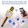 Mic Hát Karaoke SD17 Cao Cấp