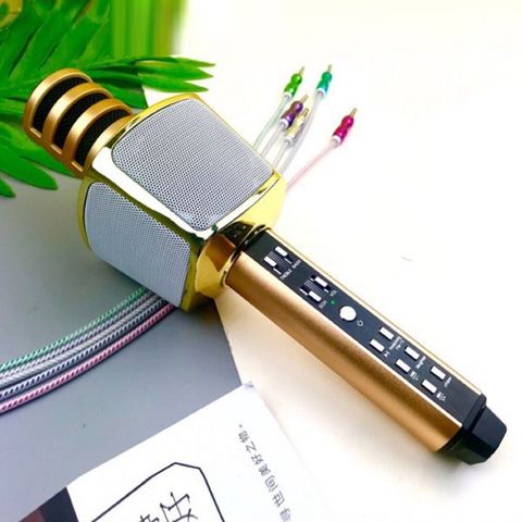 Mic Hát Karaoke SD17 Cao Cấp