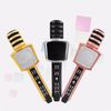 Mic Hát Karaoke SD17 Cao Cấp