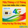 Sim 4G Viettel 7Gb x 11 Tháng Trọn Gói 1 Năm-D900