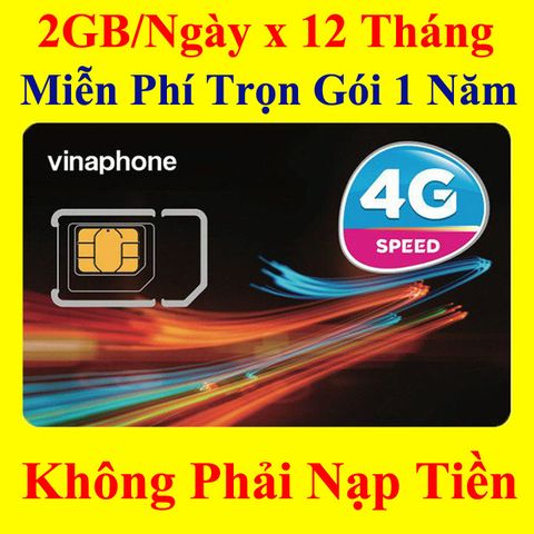 Sim 4G VinaPhone D49P 62Gb/Tháng Trọn Gói 1 Năm Không Phải Nạp Tiền