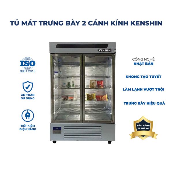 tu-mat-2-canh-kinh-kenshin-ks-2k1100c