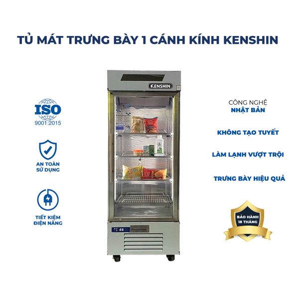 tu-mat-trung-bay-1-canh-kinh-kenshin-ks-1k500c