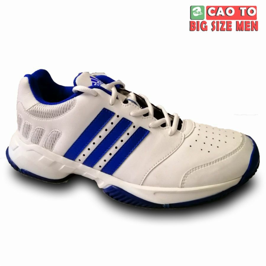 Giày tennis Adidas While bigsize