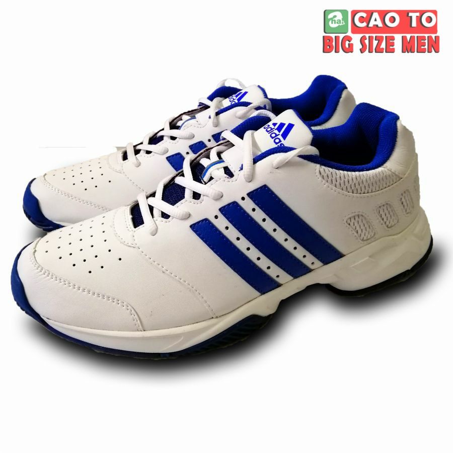 Giày tennis Adidas While bigsize