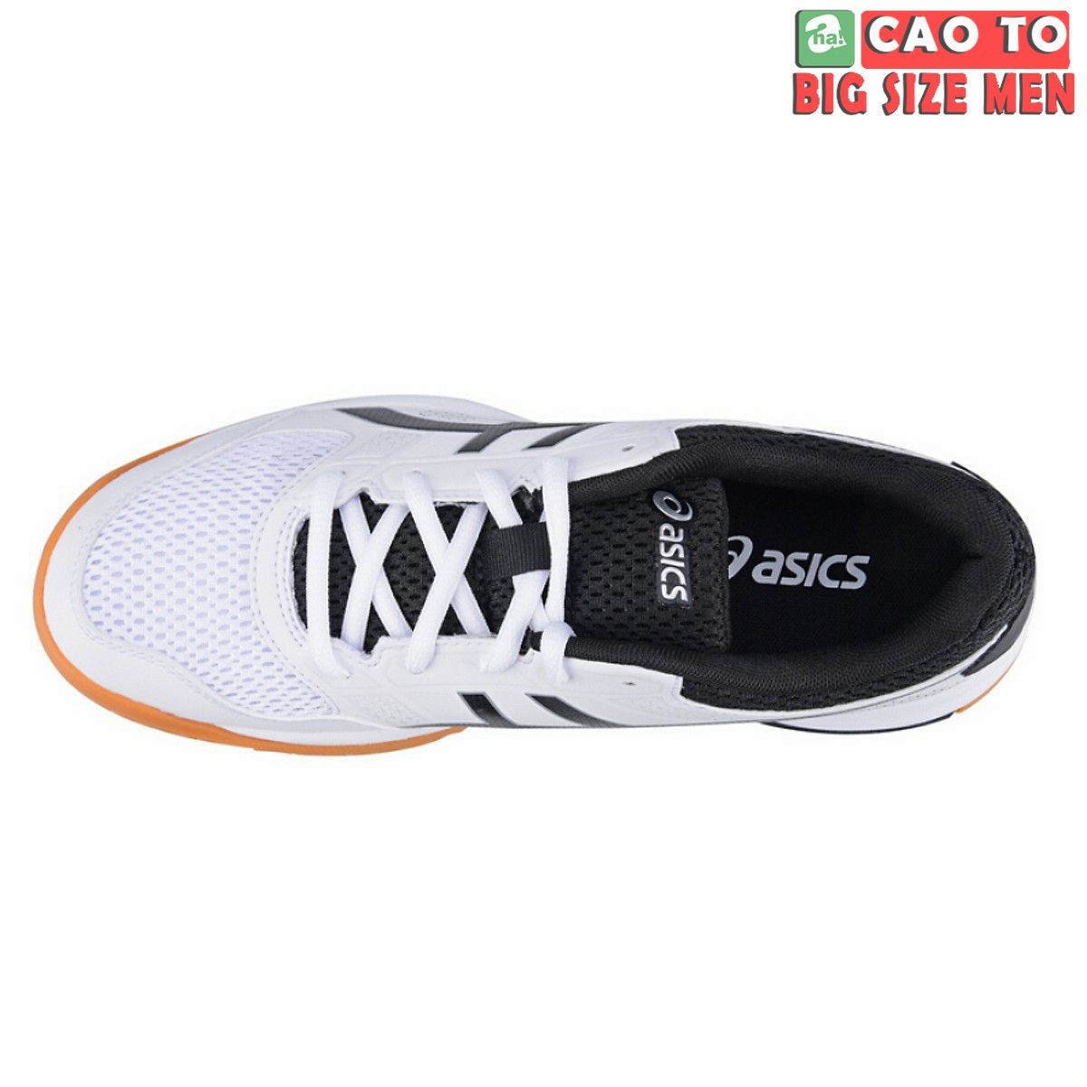 Giày tennis Asics Gel Rocket 8 White Bigsize