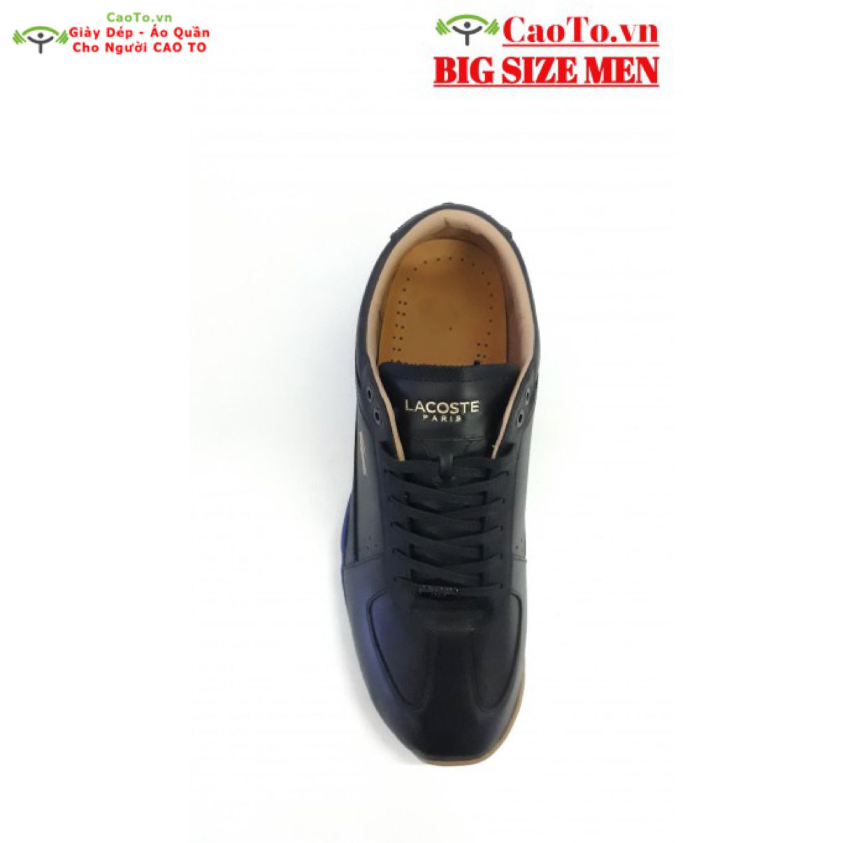 Giày Tennis Lacoste Black Size Lớn