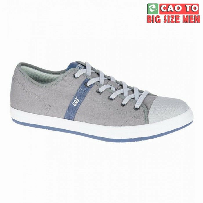 Giày Sneakers Cat White Big Size