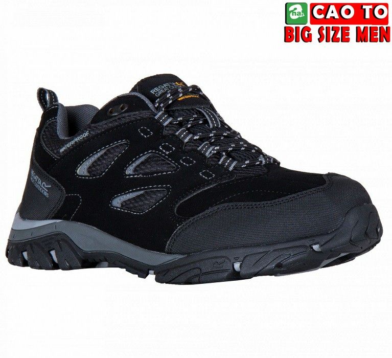 Giày leo núi REGATTA Low Black