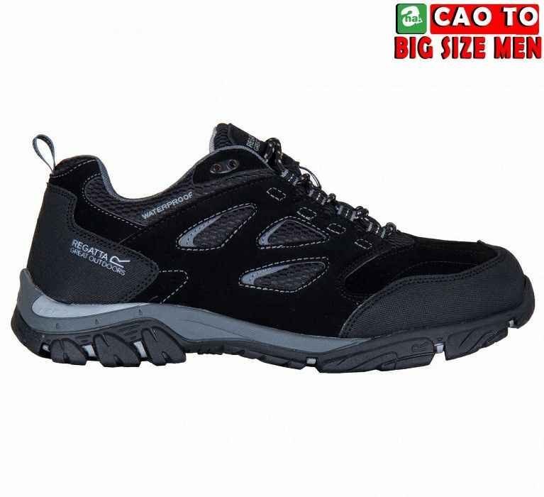 Giày leo núi REGATTA Low Black