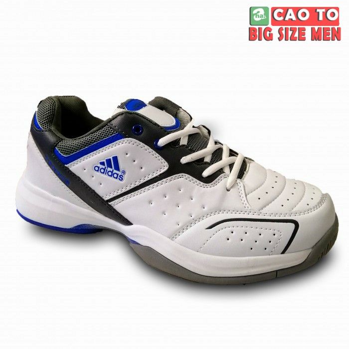 Giày tennis Adidas Blue bigsize