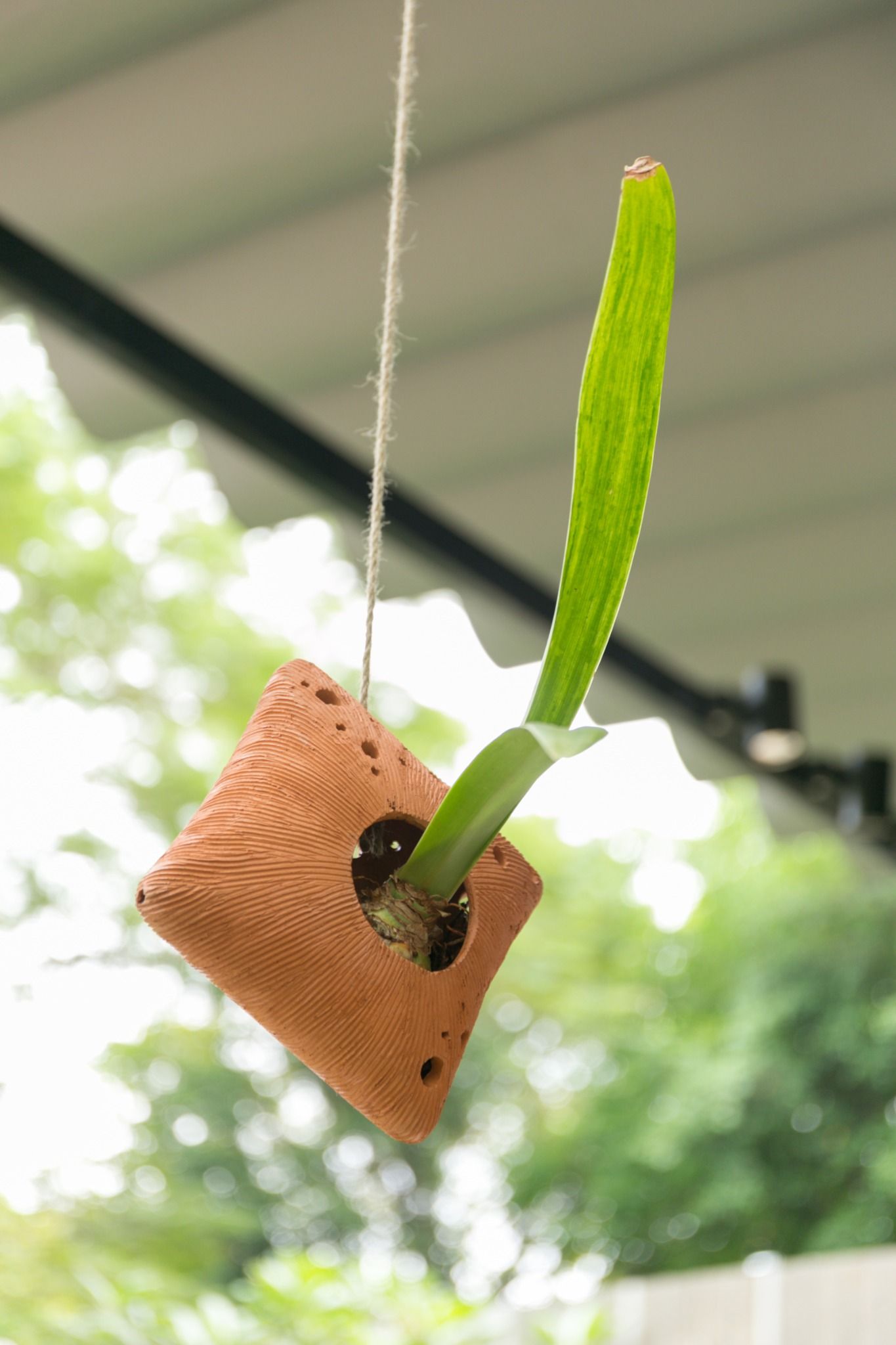 Chậu treo đất nung có lỗ, trồng cây, lọng đèn, D15cm, gốm Nam Bộ