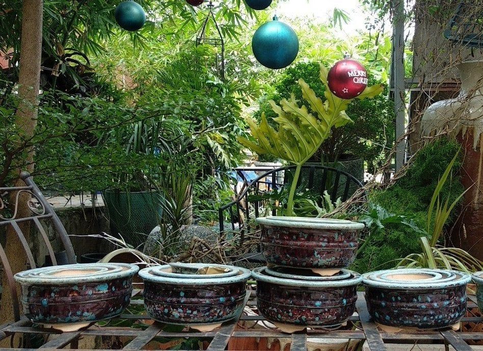 Chậu bonsai tròn, bộ 3, huyết dụ