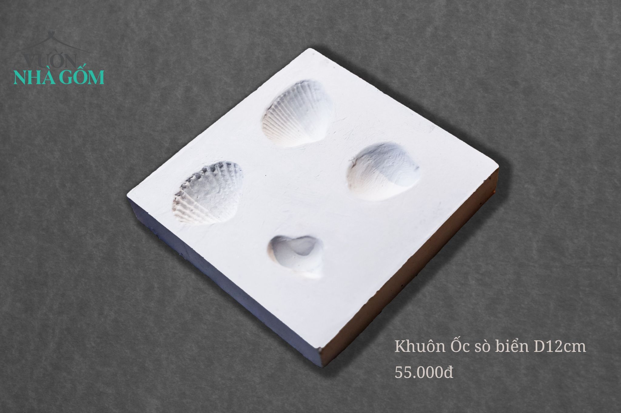 Khuôn in ốc sò biển (12x12) (Cái) - SP000061