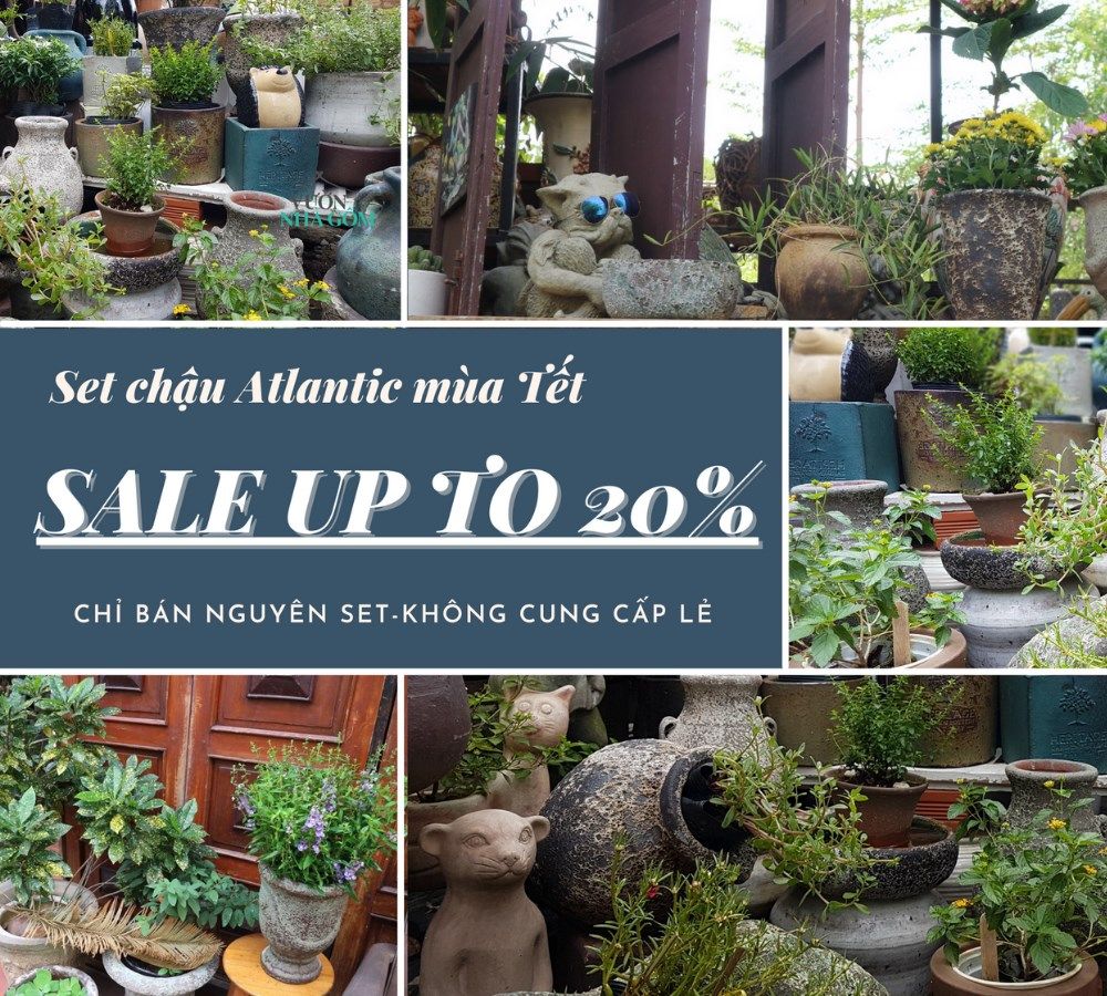 Chậu Atlantic theo Set giảm 20% cho mùa Tết, mỗi Set là duy nhất