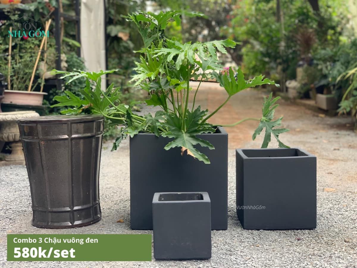 Bộ 3 Chậu xi măng vuông đen, D63xR33xC32 cm