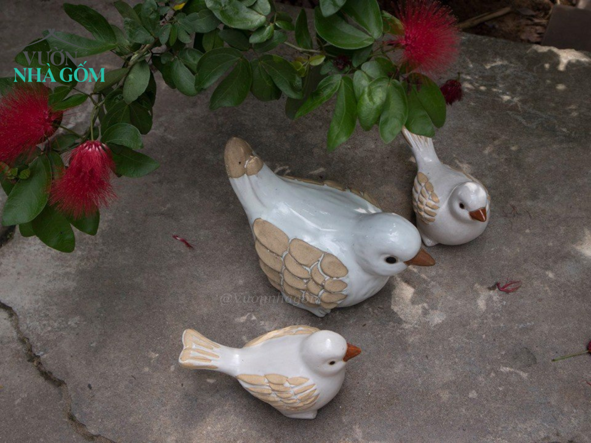 Chim mãng cầu, D12cm