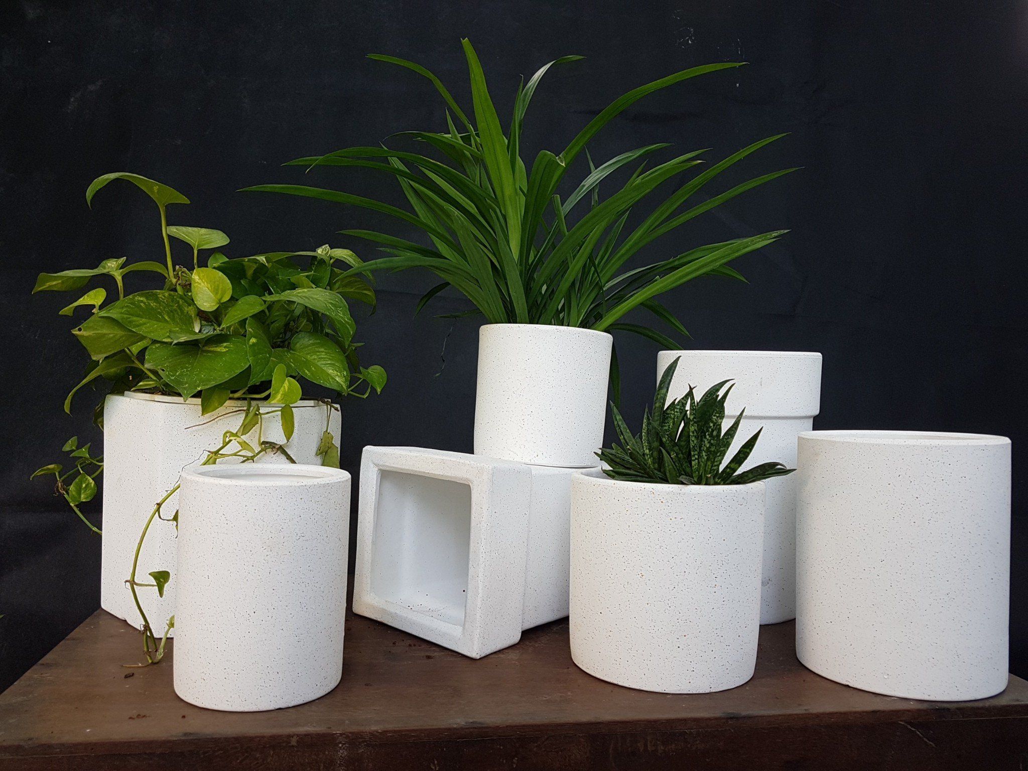 Chậu xi măng tròn thấp trắng bộ 2, H16 - 19cm