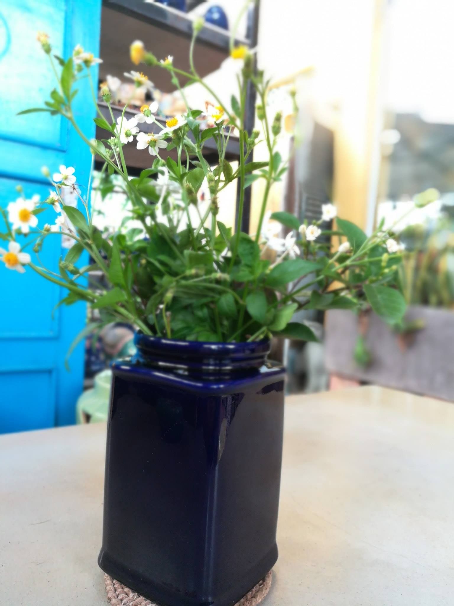 Bình vuông xanh dương đậm H20cm