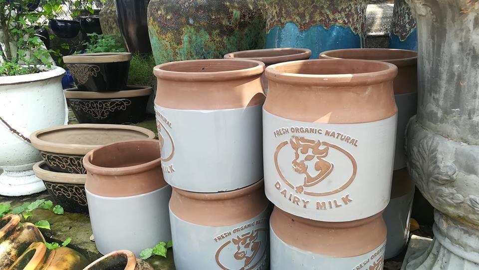 Chậu bò sữa nhỏ, H28cm