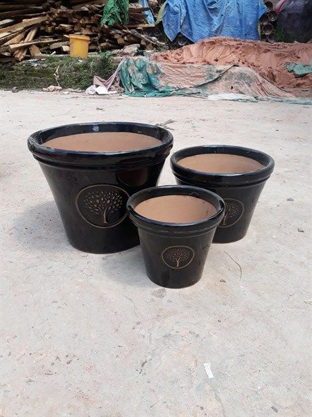 Chậu men họa tiết cây thông, bộ 3- 0402t3g034