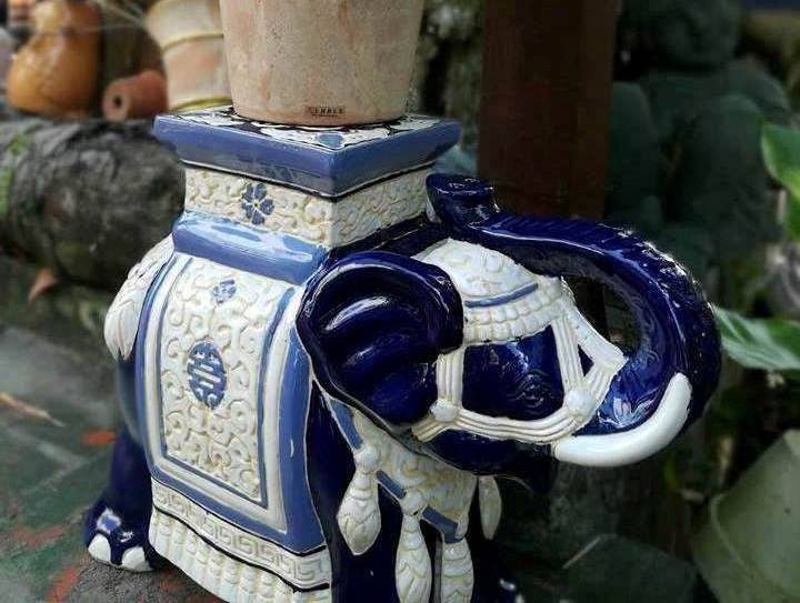 Đôn voi lớn, xanh dương