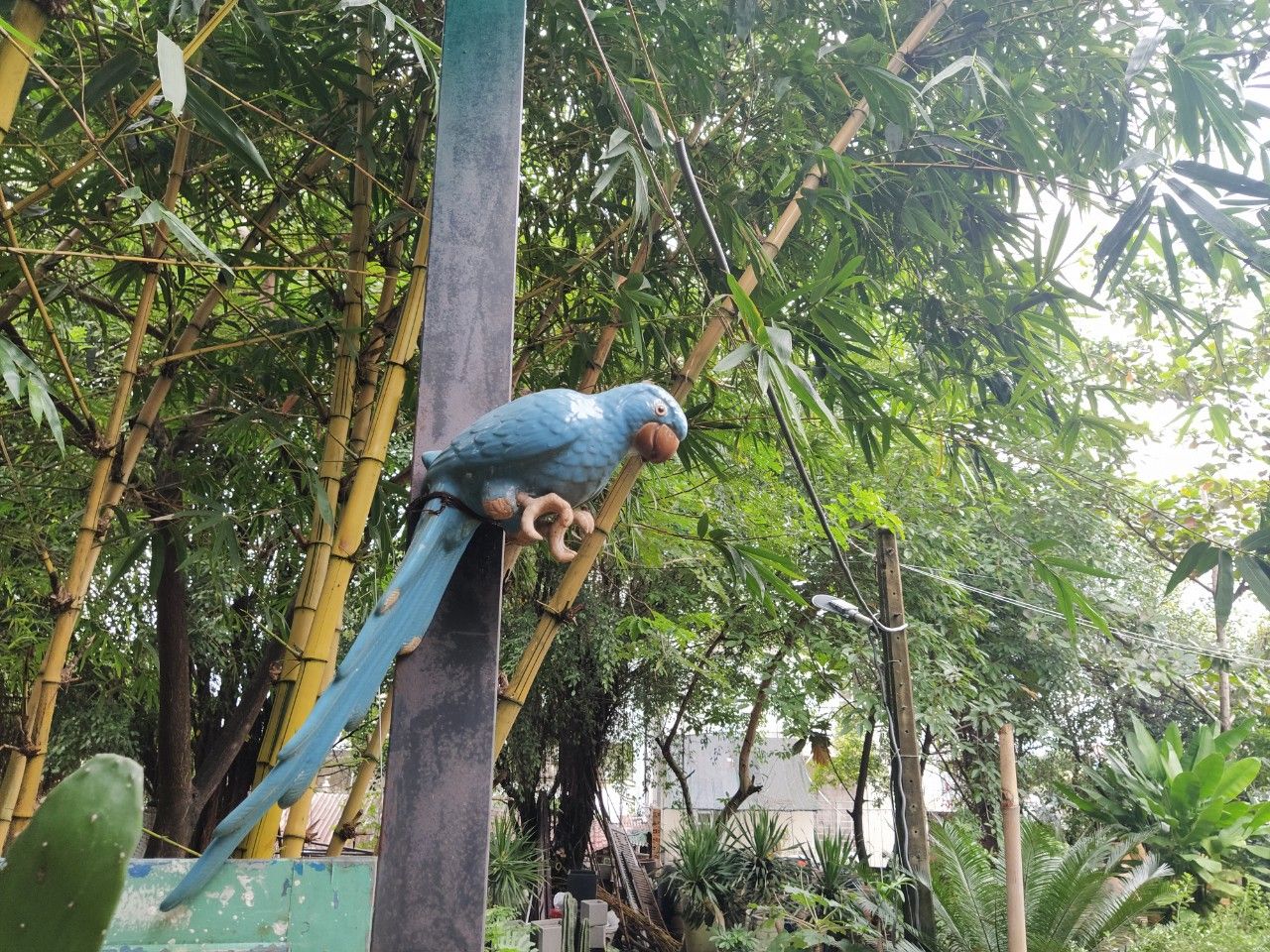 Két mỹ nghệ đuôi dài, gốm Nam bộ, D62cm