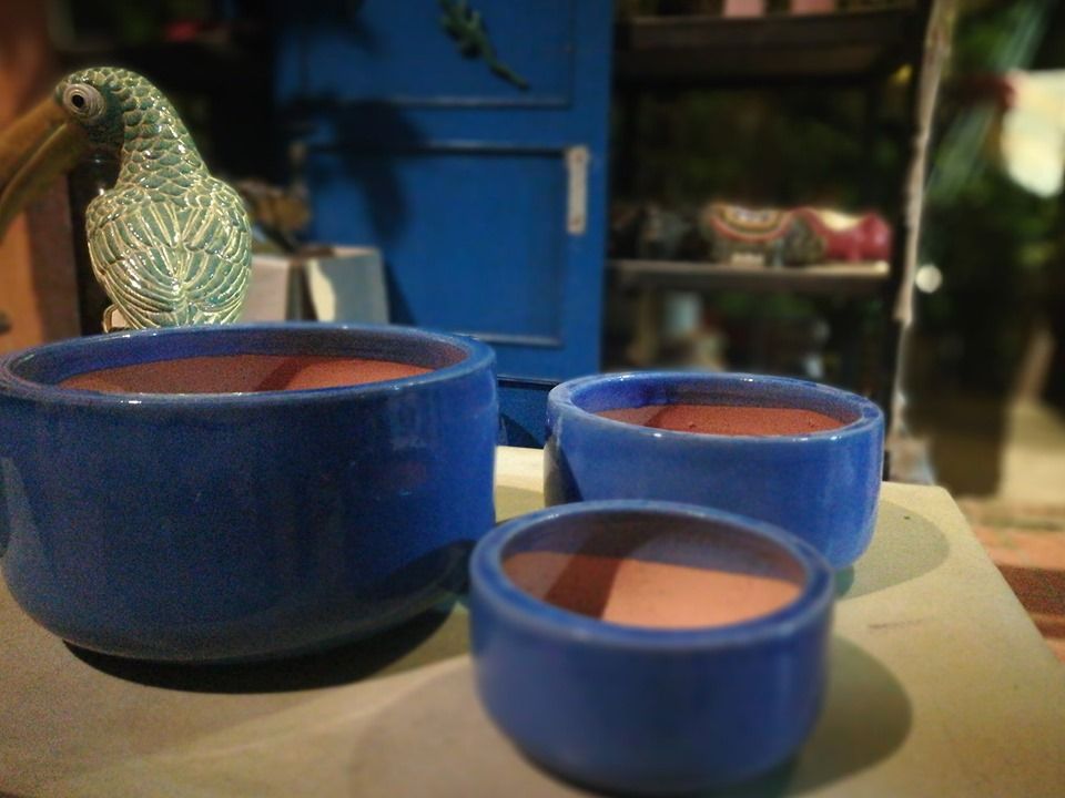 Chậu tô bộ 3