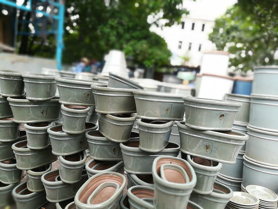Chậu oval, bộ 3