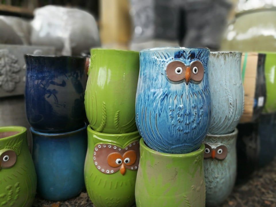 Chậu cú mèo, bộ 2