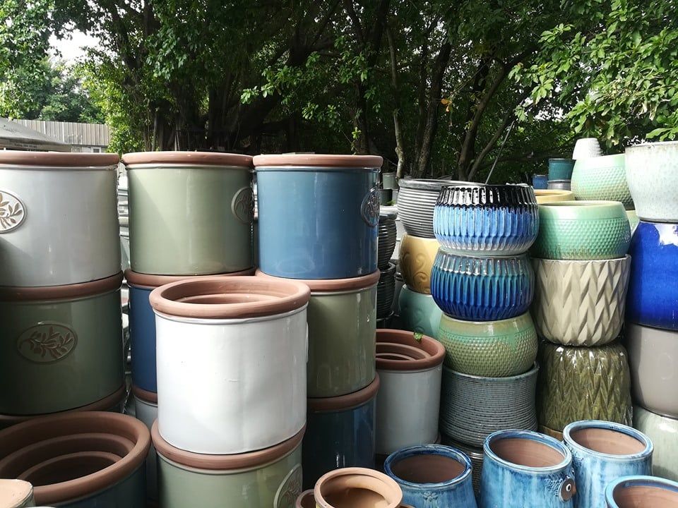 Chậu bò sữa nhỏ, H28cm