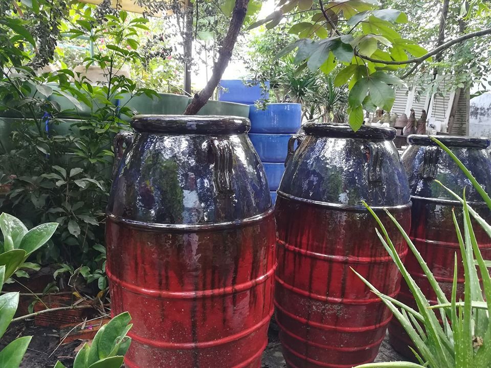 Chậu cao cổ, C80 x R50 cm