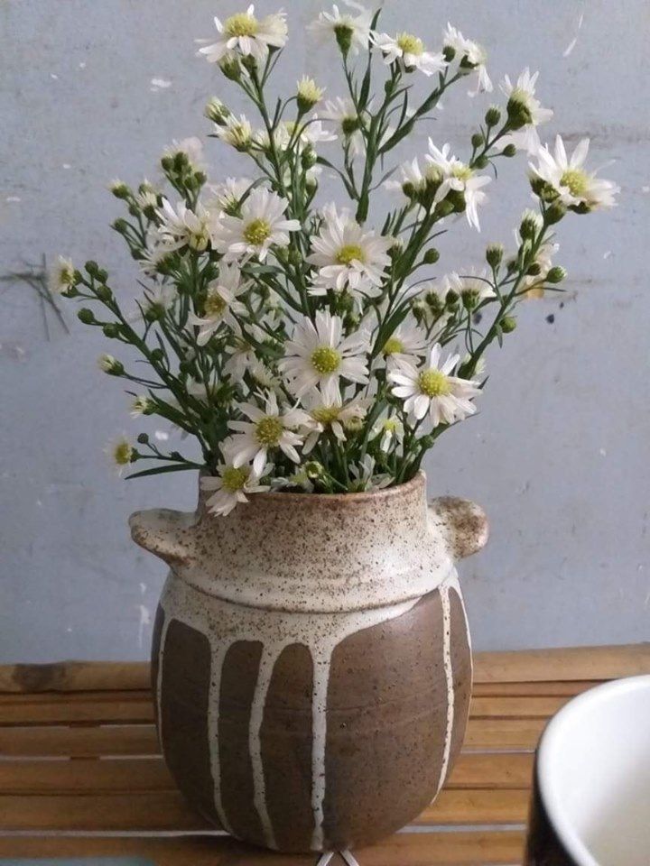Bình trơn vuốt tay, 2 quai
