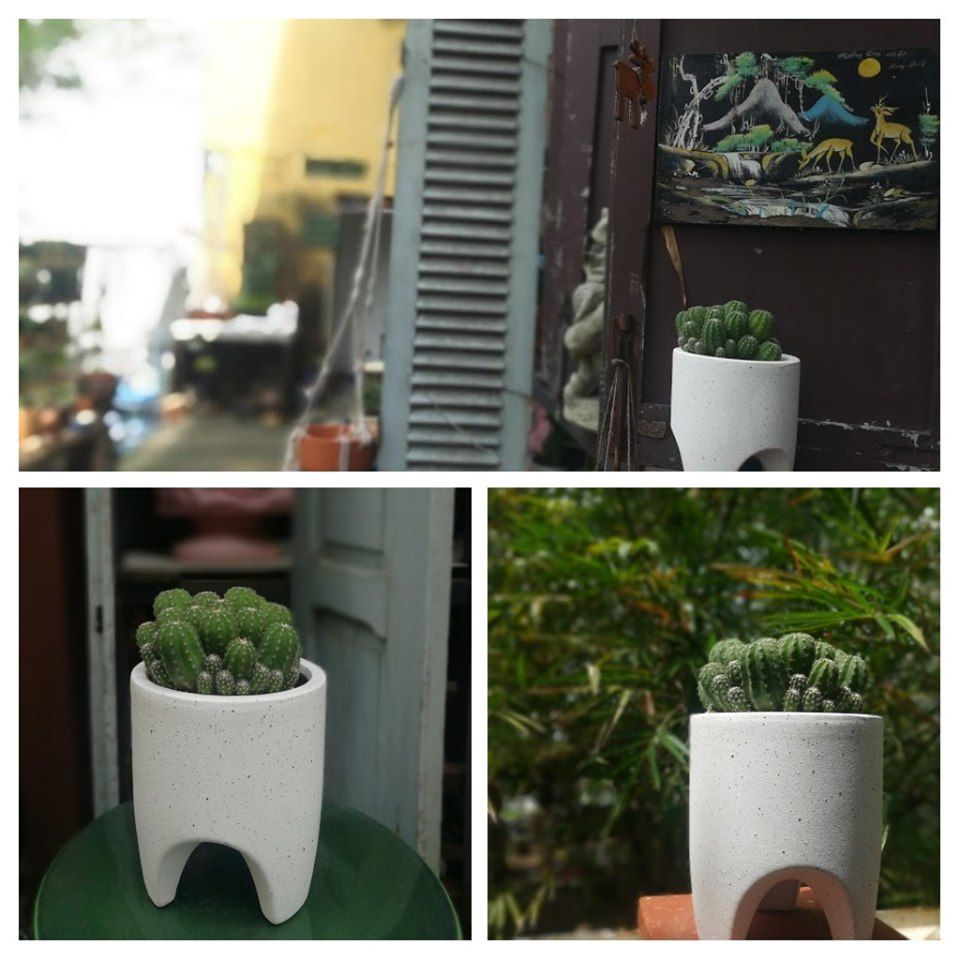 Chậu S-Tooth, C16 x R14 cm