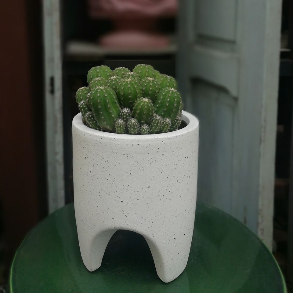 Chậu S-Tooth, C16 x R14 cm