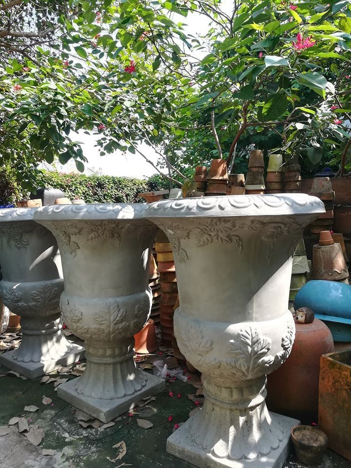 Chậu ly cúp chất liệu ciment, H90cm