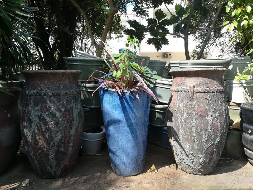 Chậu atlantic trái bầu, C120 x R70 cm