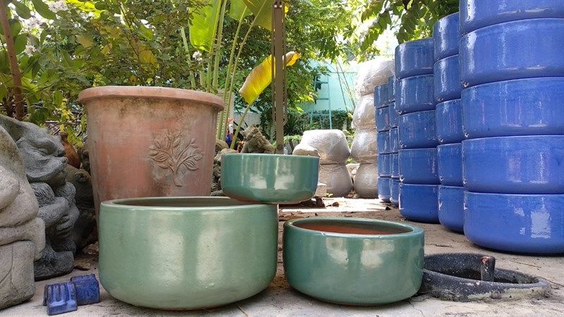 Chậu tô bộ 3