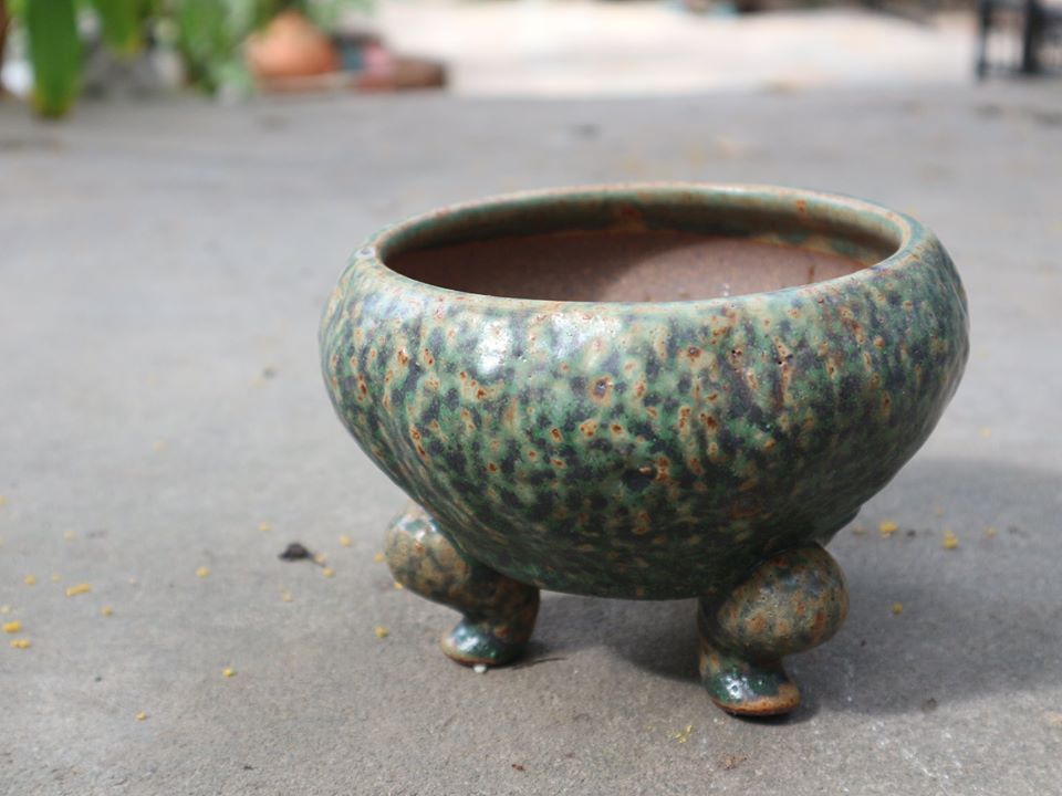 Chậu bonsai Kim 807, 14x16x12 cm