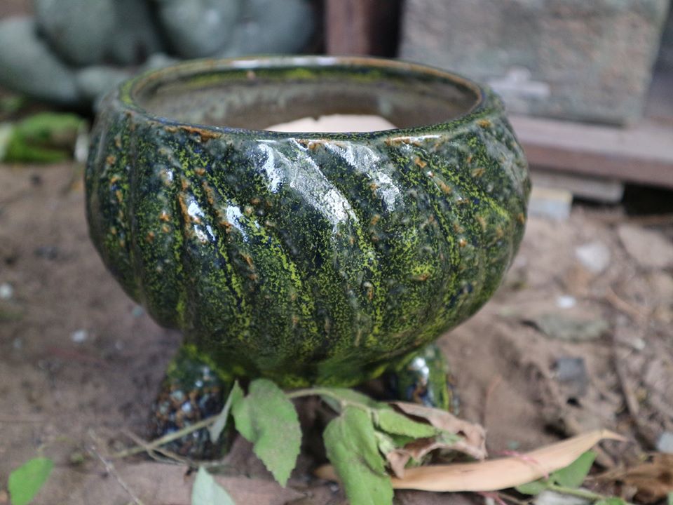 Chậu bonsai Kim 829, 14x17x14 cm - SP000771