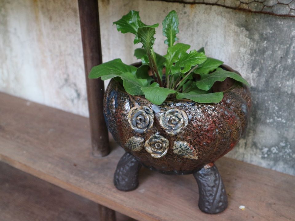 Chậu bonsai Kim 830, 17x20x18 cm-SP000770