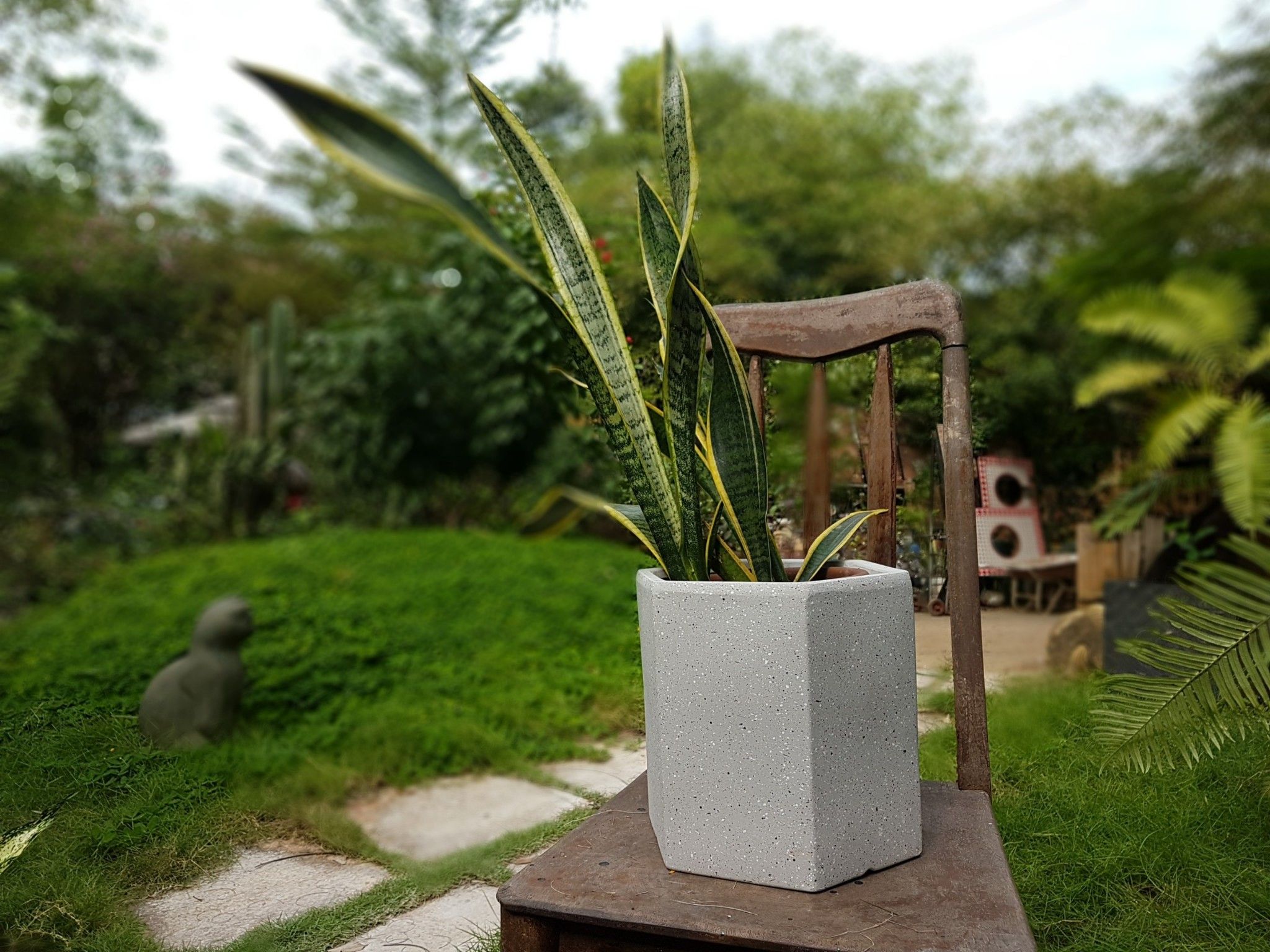 Chậu xi măng lục giác xám, R22xC23cm