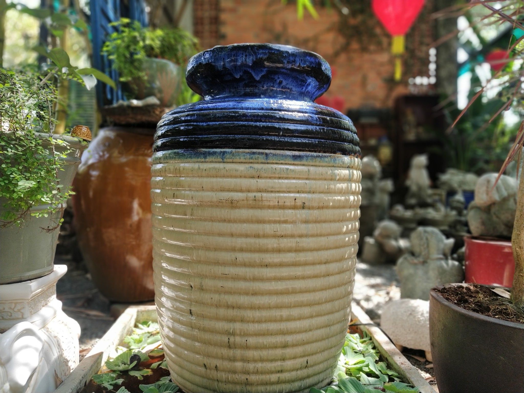 Chóe nước gân xanh men chảy, H75cm
