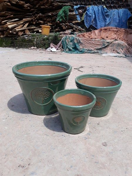 Chậu men họa tiết cây thông, bộ 3- 0402t3g034