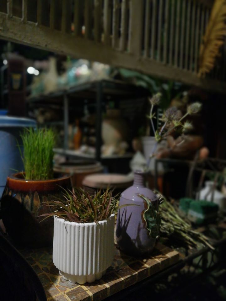 Chậu West Elm trắng bộ 3