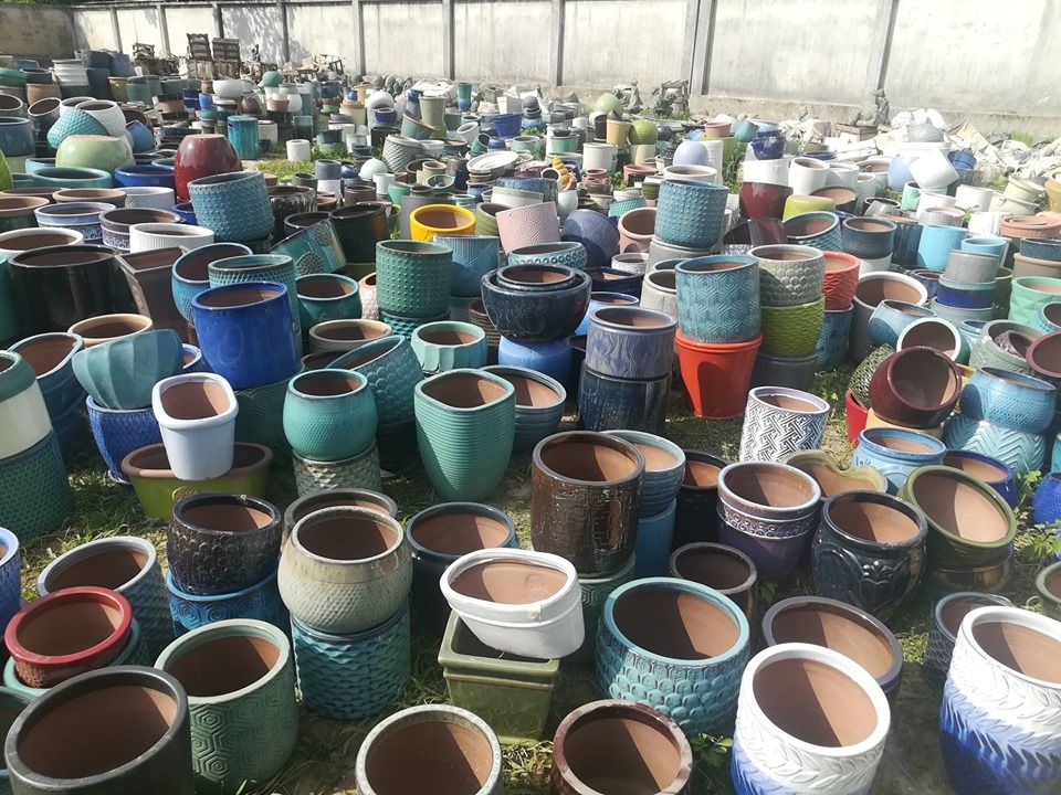 Chậu men trồng cây, trang trí đa dạng