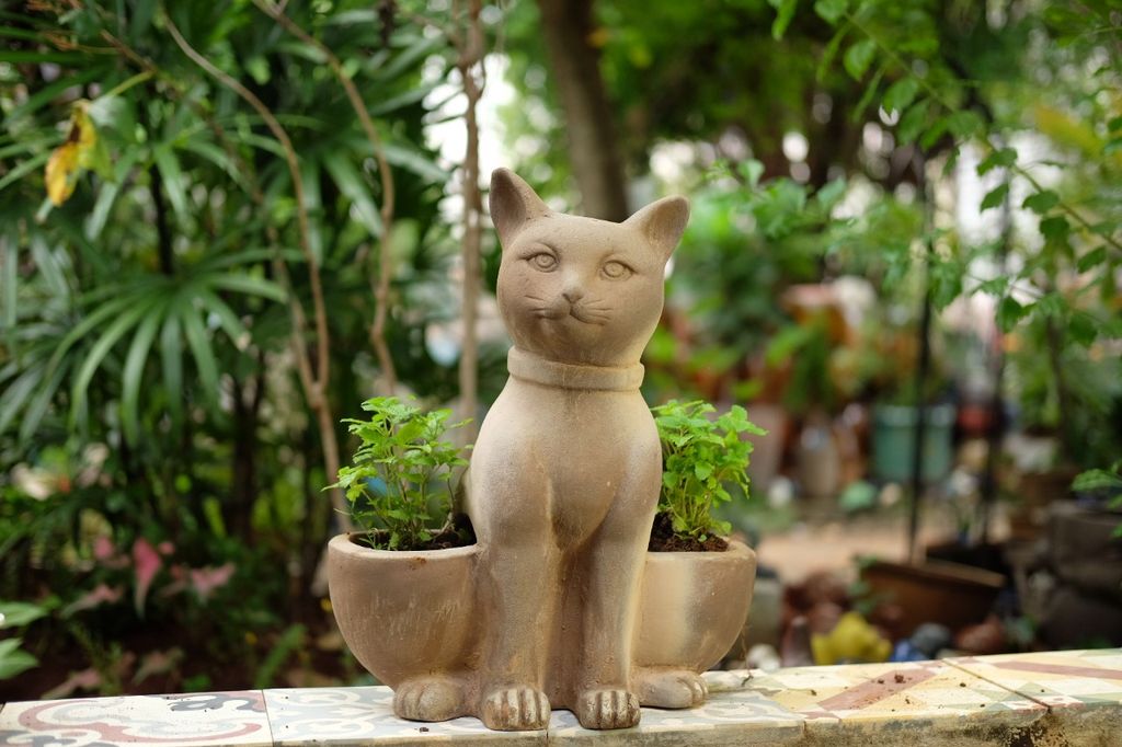 Chậu đất nung