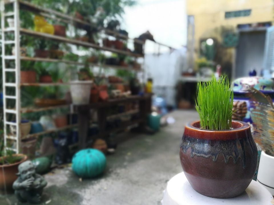 Chậu nồi đỏ, R30 x C18cm- 0402n3l042