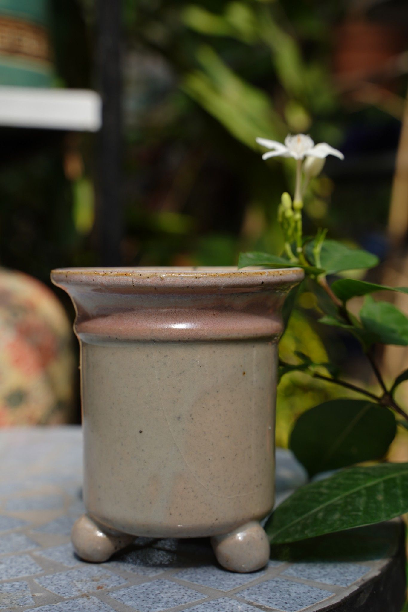 Chậu bonsai Kim 844, R9 x C10cm