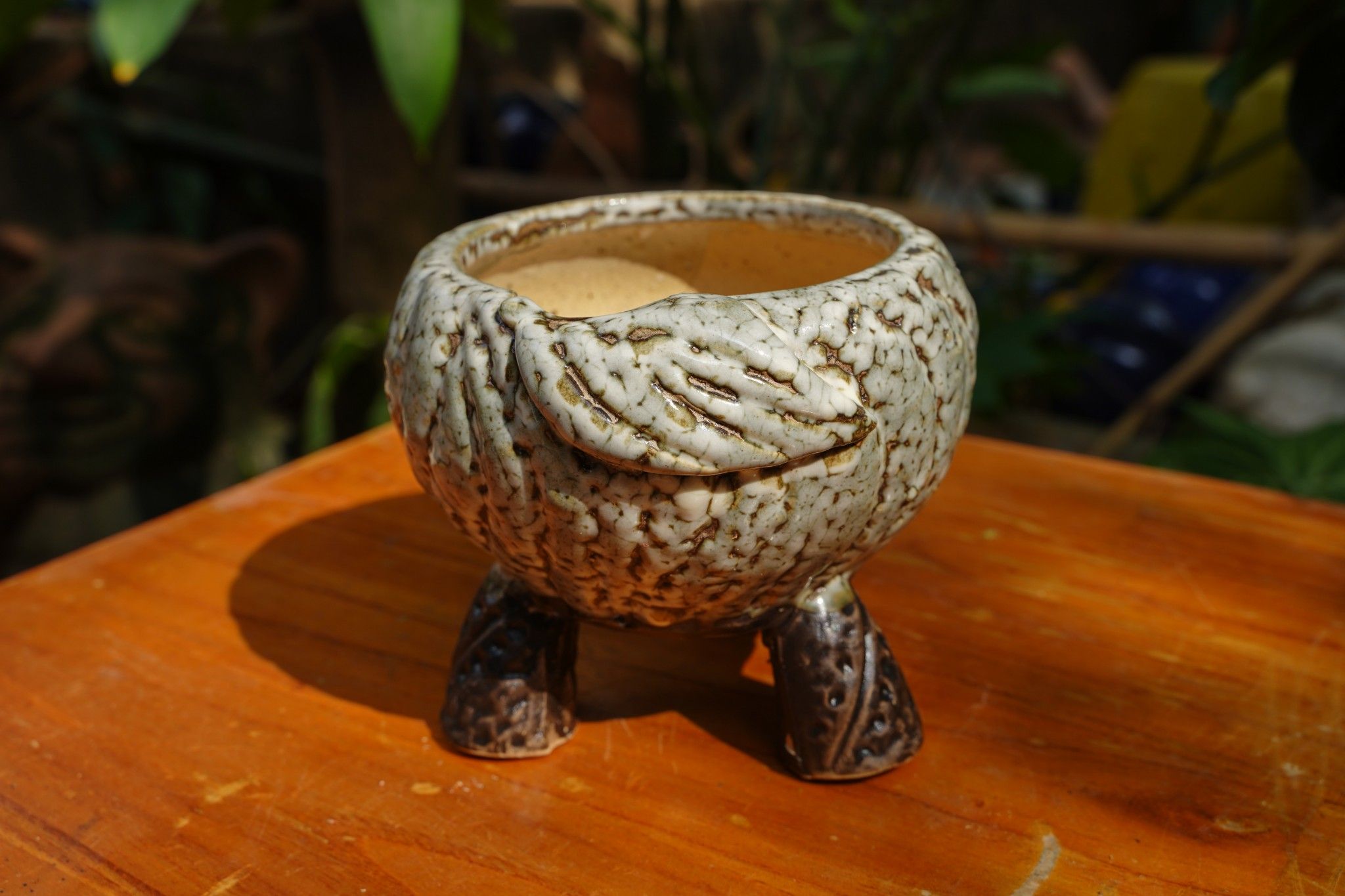 Chậu bonsai Kim 831, R13 x C11cm - SP000769